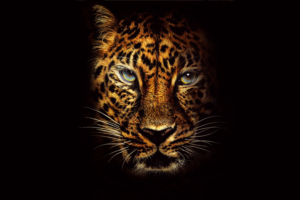 Jaguar in Jumanji Welcome to the Jungle 4K 8K2385216908